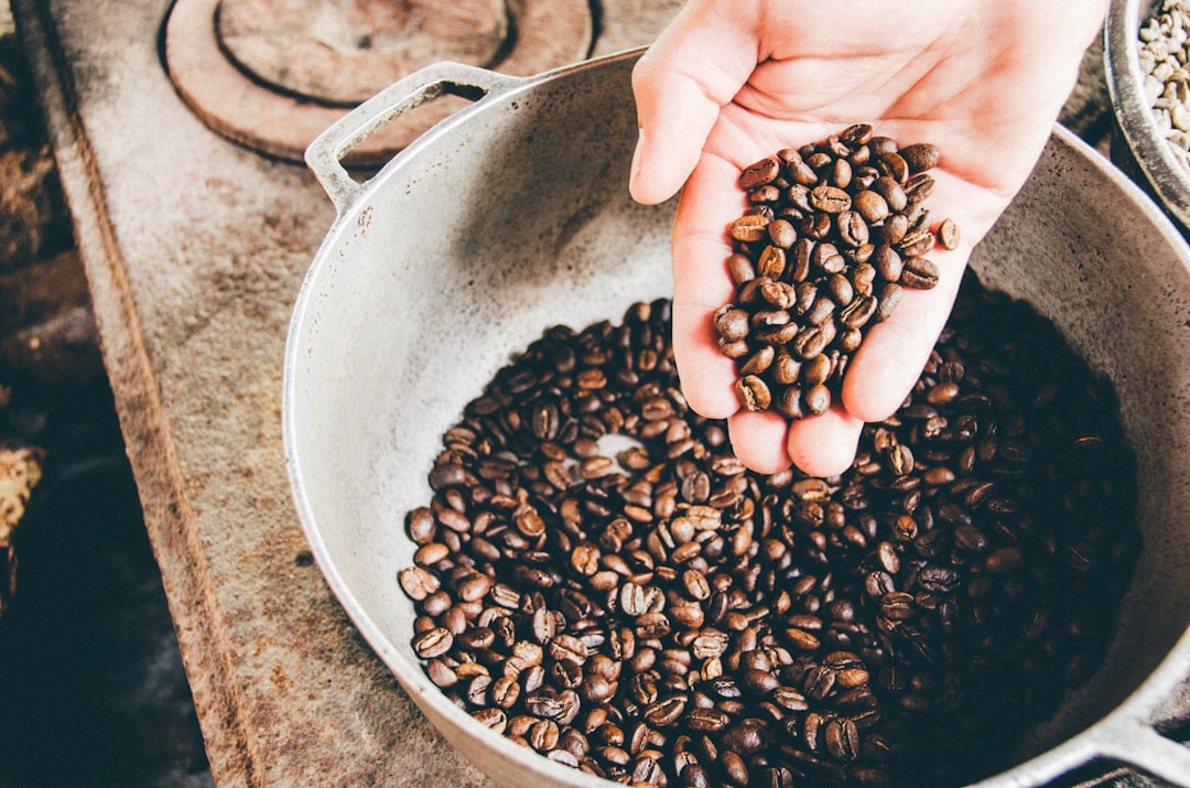 Biologische koffie: wat zit er écht in jouw kopje?