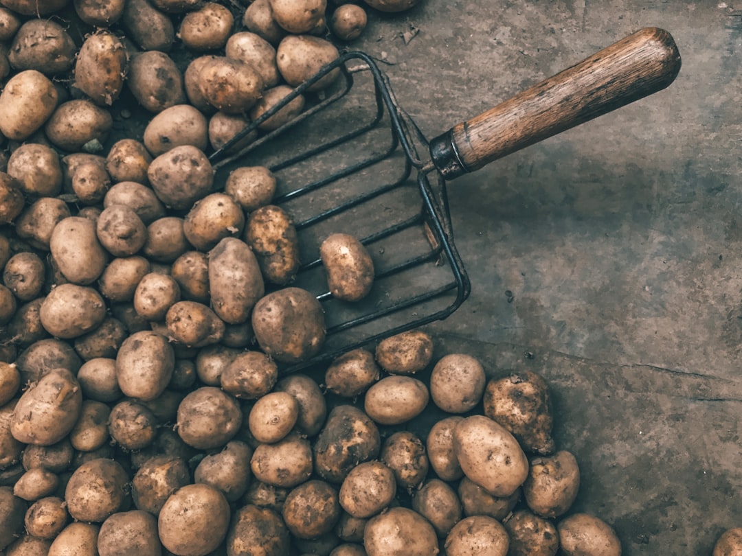 Friet uit de frituur: alles over een Belgische klassieker